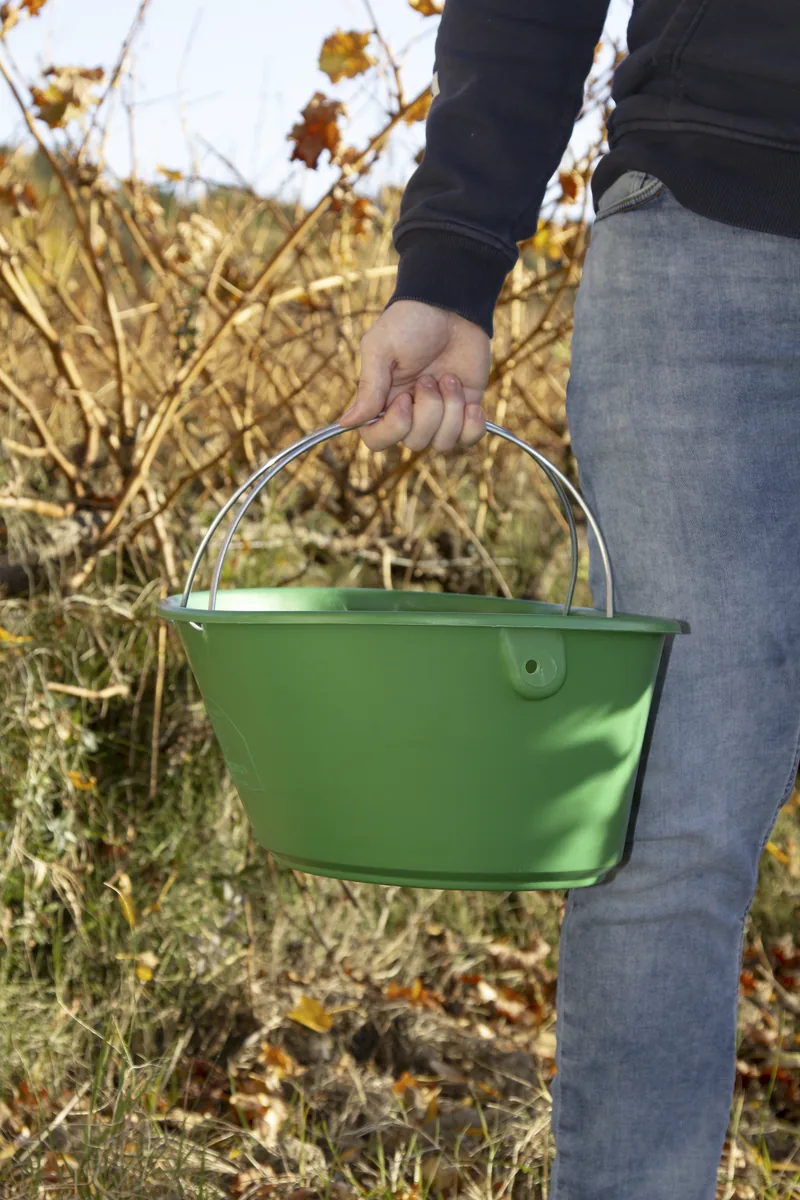 Panier multifonction K11 porté à la main par une anse, dans les vignes