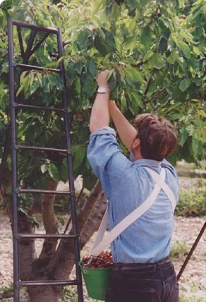 K-1 panier 10L polypropylène alimentaire
